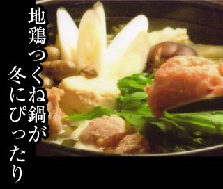 �n�{���˓�R�[�X